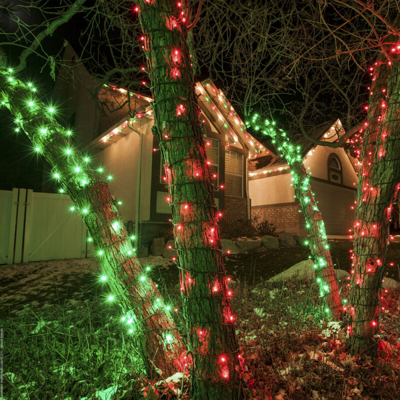 70 LED Count 24 ft. Red Color Holiday Christmas Outdoor String Lights (5MM) (81907) - Image 3