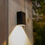 Brilliance Guadalupe Wall Light 2700K - Black Brass (GUADALUPE-2700-BK)