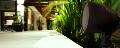 Typical backyard / garden